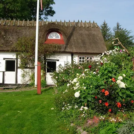 Travel Back In Time *